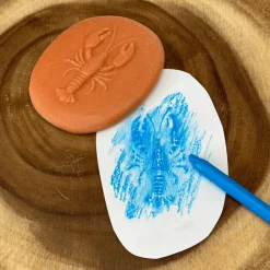 Let's Investigate Sensory Stones (Seashore)