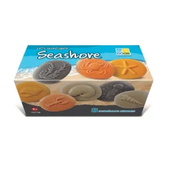 Let's Investigate Sensory Stones (Seashore)