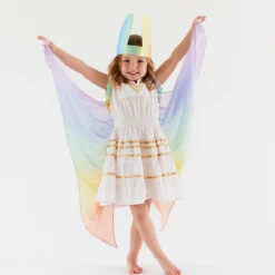 Limited Edition Silk Wings (Soft Rainbow)