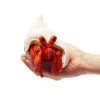 Mini Hermit Crab Finger Puppet