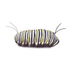 Monarch Butterfly Life Cycle Hand Puppet