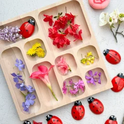 Natural Wood Tinker Tray (9 Section)