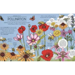 Nature Explained: A family guide to 20 nature cycles | Hardcover