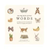 Our Big Book of First Words: A Collection of 100+ Foundational Words for Language Development | Board Book