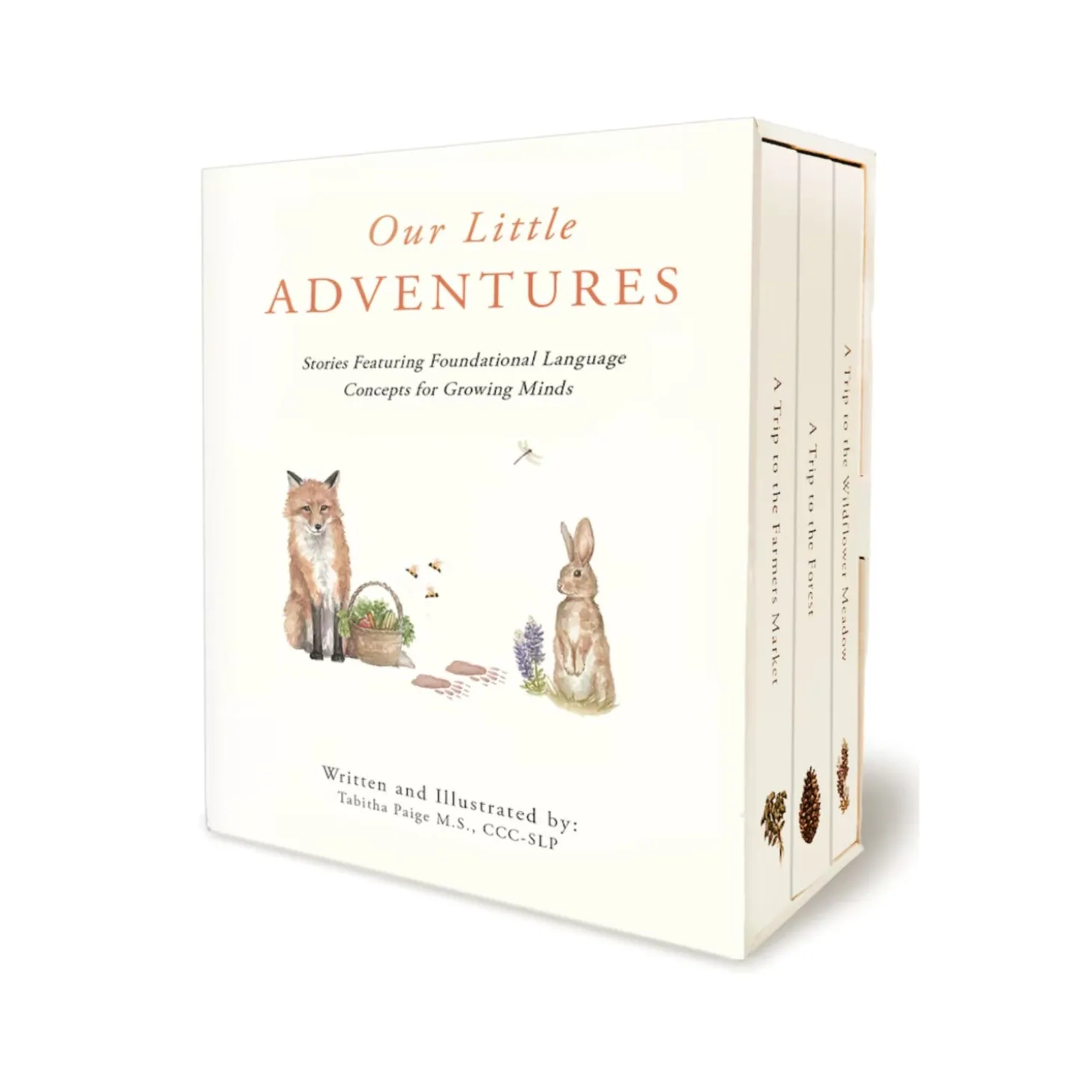 Our Little Adventures: Stories Featuring Foundational Language Concepts For Growing Minds | Boxed Set