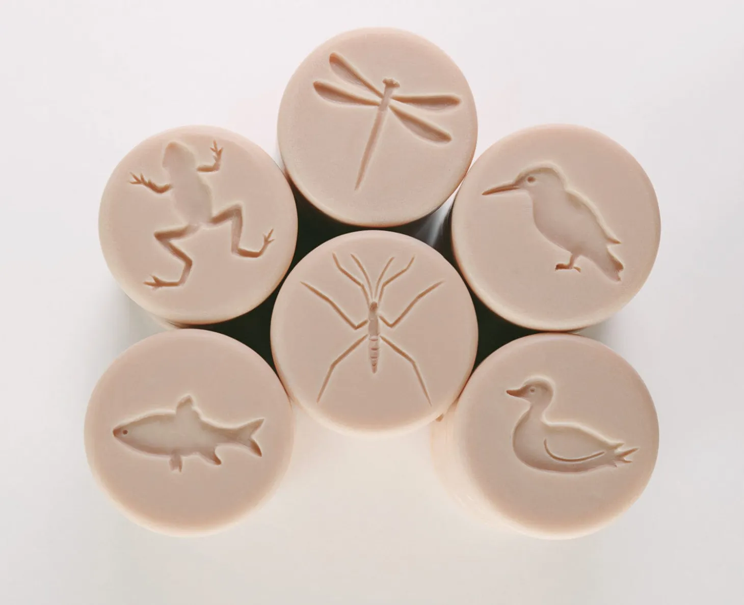 Play Dough Rollers & Stamp Set (Pond Life)