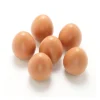 Play Eggs (Set of 6)