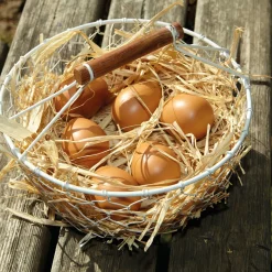 Play Eggs (Set of 6)