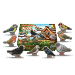 Play Stones (Birds)