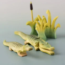 PRE-ORDER Baby Crocodile