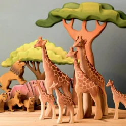 PRE-ORDER Large Acacia Tree