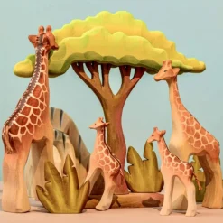 PRE-ORDER Large Acacia Tree