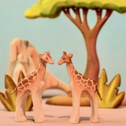 PRE-ORDER Large Acacia Tree