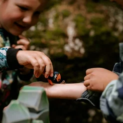 PRE-ORDER Toucan Family (Set of 3)