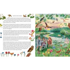 Rewild the World at Bedtime: Hopeful Stories from Mother Nature | Hardcover