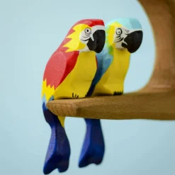 Scarlet Macaw Parrot