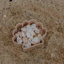 Sea Shell Eco Mould