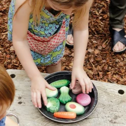 Sensory Play Stones (Fruits)