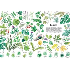 Shapes and Patterns in Nature | Hardcover