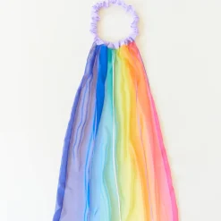 Silk Georgette Rainbow Veil