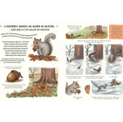 Slow Down - 50 Mindful Moments in Nature | Hardcover