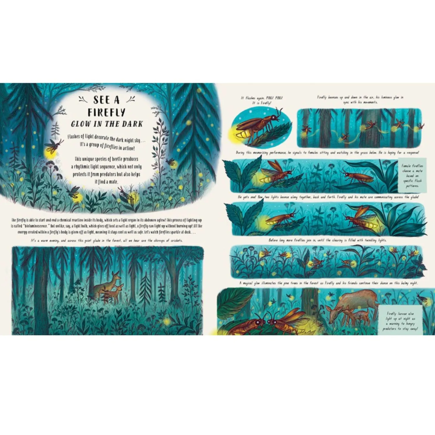 Slow Down and Be Here Now: More Nature Stories to Make you Stop, Look, and be Amazed by the Tiniest Things