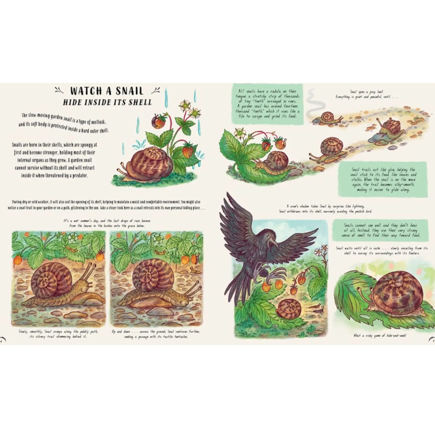 Slow Down and Be Here Now: More Nature Stories to Make you Stop, Look, and be Amazed by the Tiniest Things