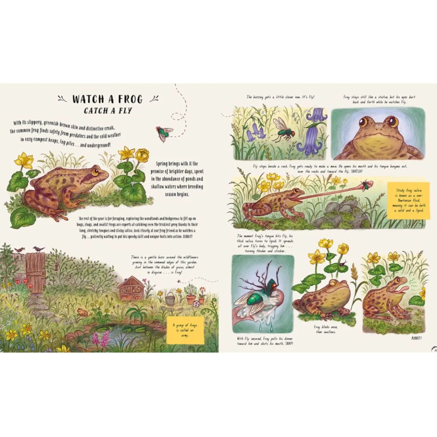 Slow Down and Be Here Now: More Nature Stories to Make you Stop, Look, and be Amazed by the Tiniest Things