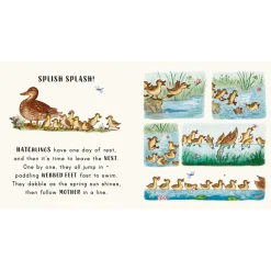 Slow Down...in the Park - Calming Nature Stories for Little Ones | Board Book