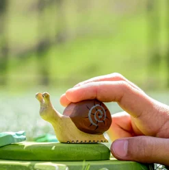 Snail | Wooden Toy