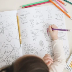 Sticker and Colouring Book (The Botanist)