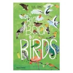 The Big Book of Birds | Hardcover