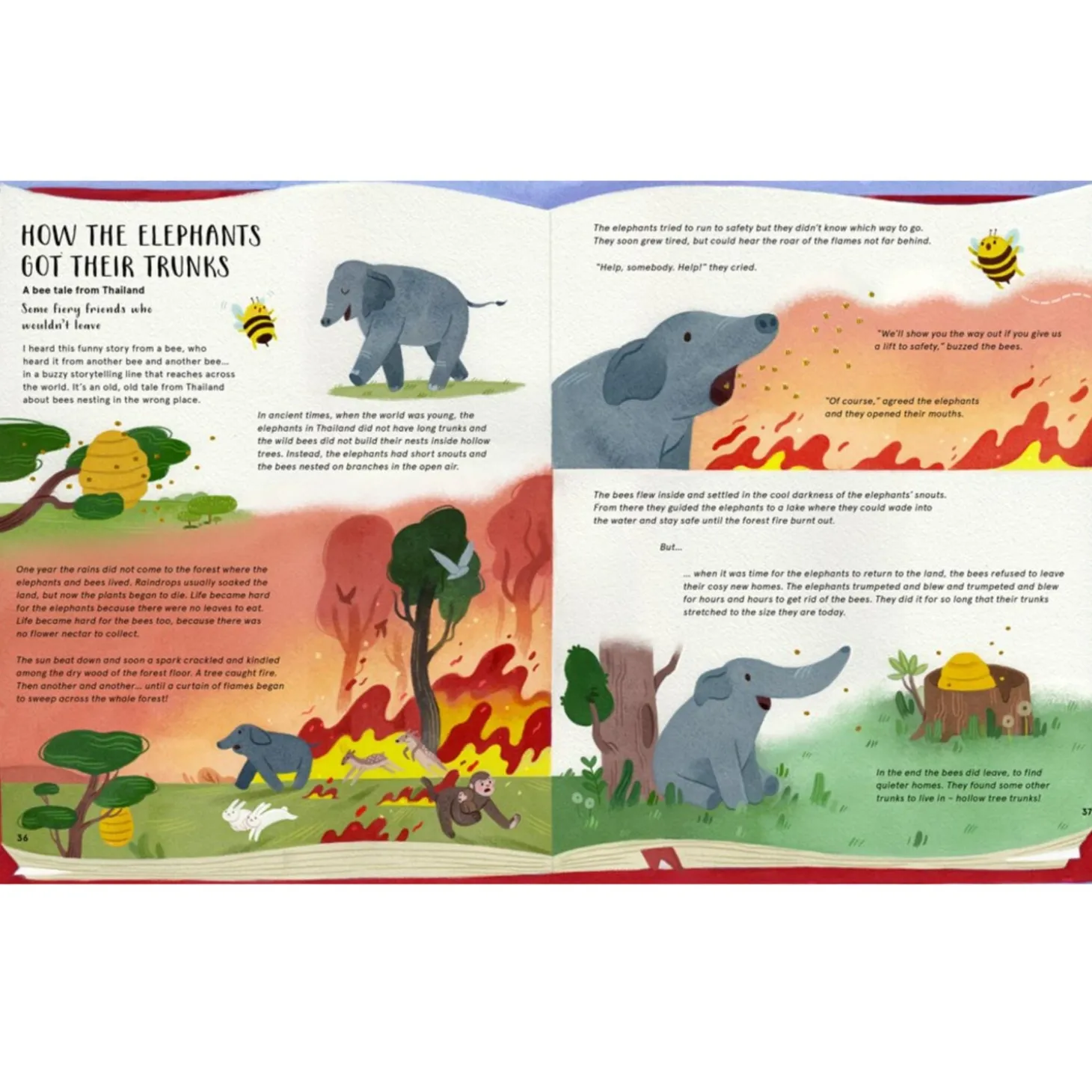 The Secret Life Of Bees | Hardcover