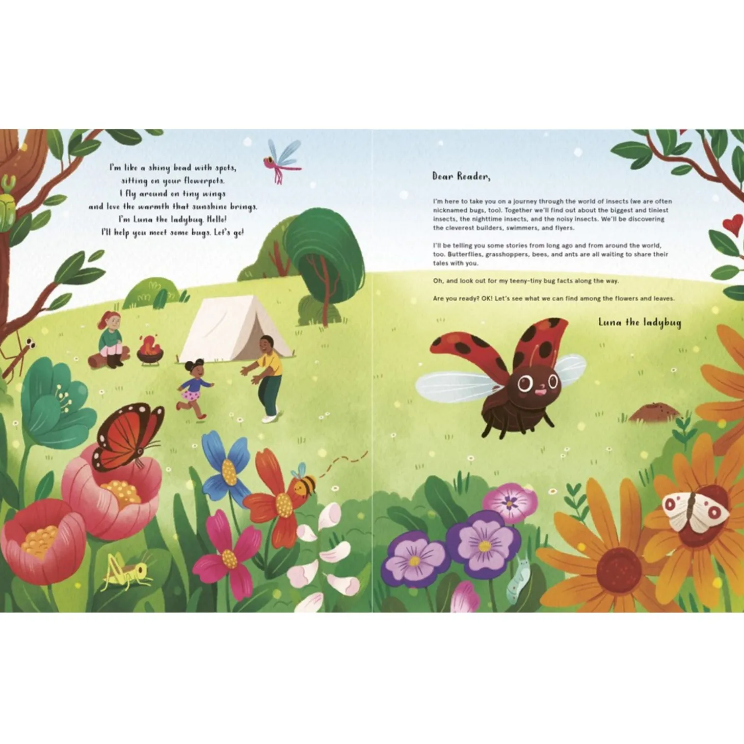 The Secret Life Of Bugs | Hardcover