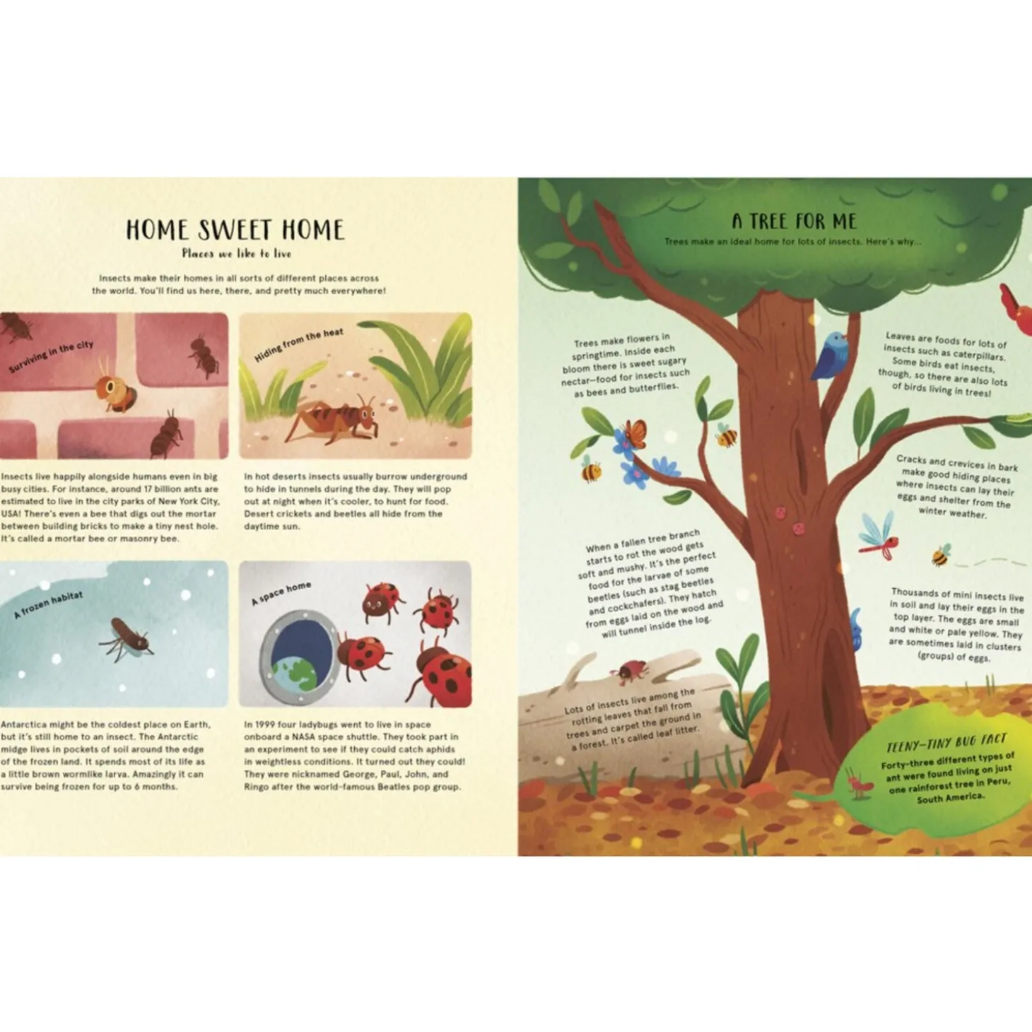 The Secret Life Of Bugs | Hardcover