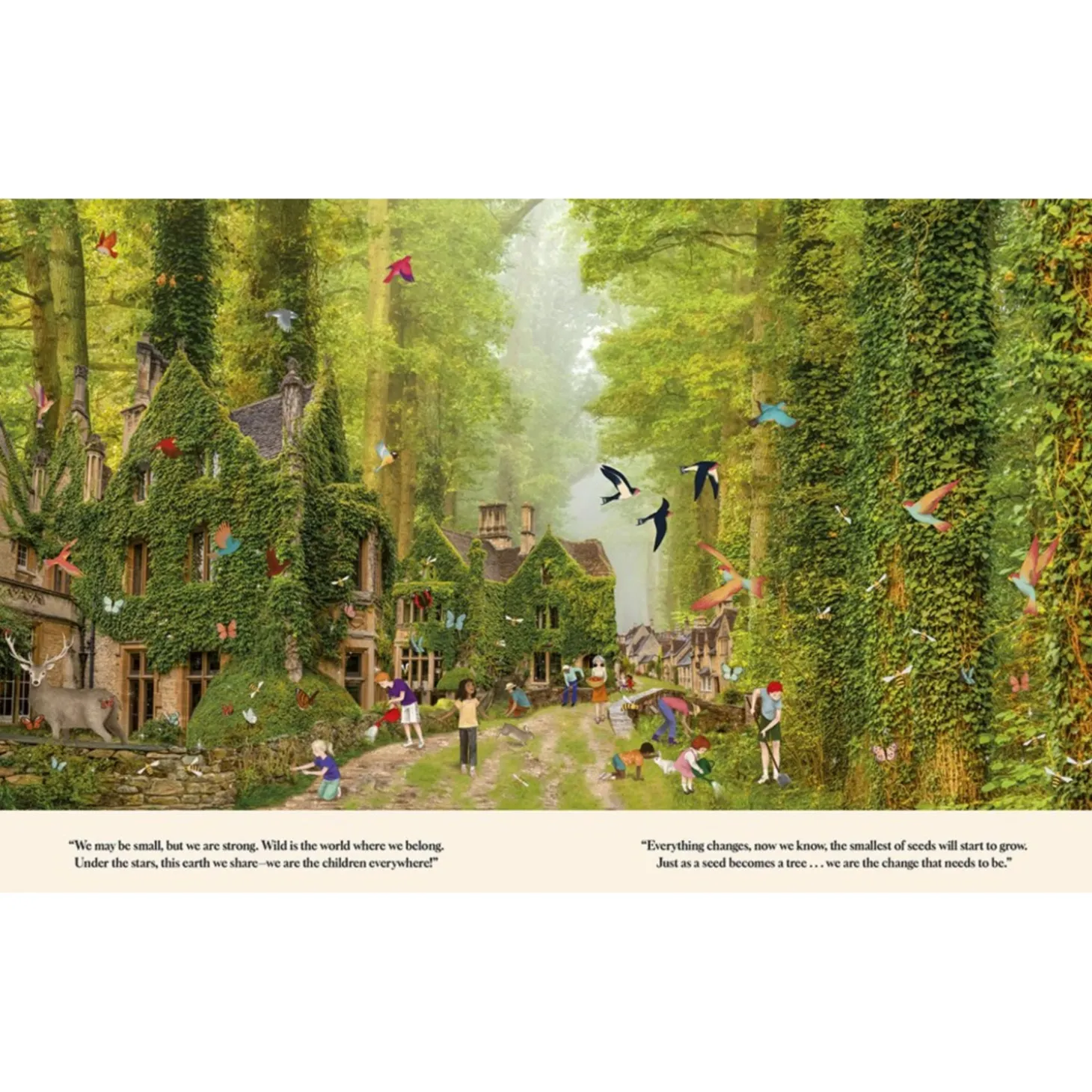 Through the Fairy Door: A Picture Book | Hardcover