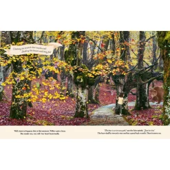 Through the Fairy Door: A Picture Book | Hardcover