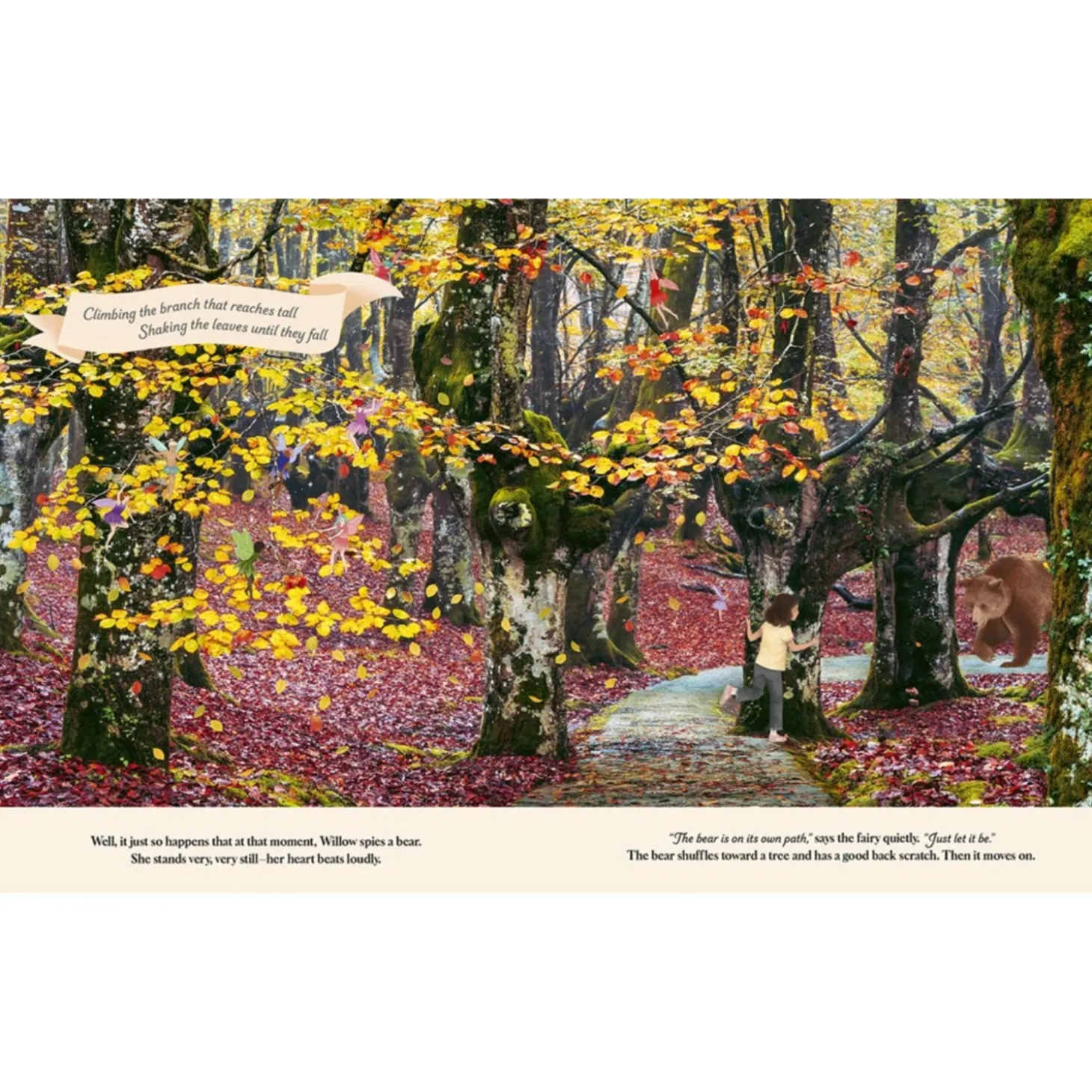 Through the Fairy Door: A Picture Book | Hardcover