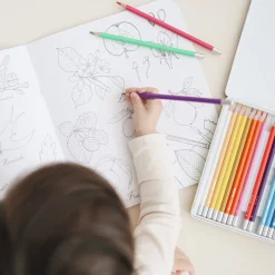 Watercolour Pencils (Set of 24)