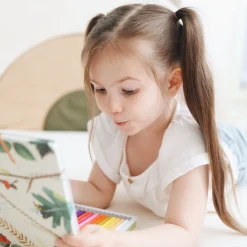 Watercolour Pencils (Set of 24)