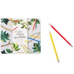 Watercolour Pencils (Set of 24)