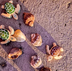 Wooden Baby Turtle (Green)