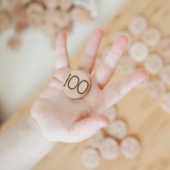 1-100 Wooden Counting Discs ( Mini)