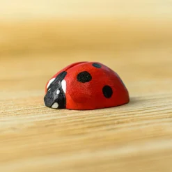 Wooden Ladybug