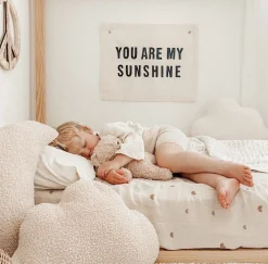 You Are My Sunshine Canvas Banner